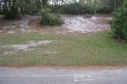 A view of the campsite with a shell/sand/grass base and partial shade.