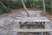 View of a picnic table in partial shade.