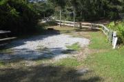 A view of the campsite with a shell/sand base and partial shade.