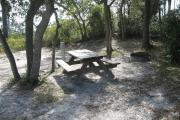 View of a picnic table and fire ring in partial shade.
