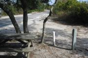 View from the rear of the campsite looking toward the road.