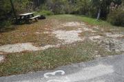 A view of the campsite with a shell/sand/grass base and partial shade.