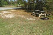 View from the rear of the campsite looking toward the road.
