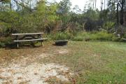 View of a picnic table and fire ring in bright sunshine.