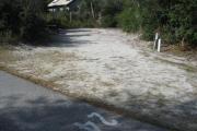 A view of the campsite with a shell/sand base and partial shade.