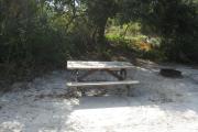 View of a picnic table and fire ring in partial shade.