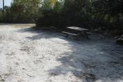 View from the rear of the campsite looking toward the road.