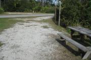 View from the rear of the campsite looking toward the road.