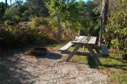 View of a picnic table, clothesline posts and fire ring in partial shade.