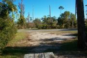 View from the rear of the campsite looking toward the road.