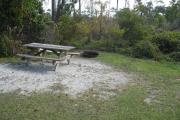 View of a picnic table and fire ring in partial shade.