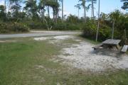 View from the rear of the campsite looking toward the road.
