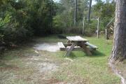 View of a picnic table, fire ring and clothesline posts in partial shade.