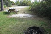 View from the rear of the campsite looking toward the road.