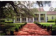 Photo: STEPHEN FOSTER FOLK CC SP