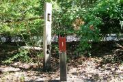 View of a vacant campsite with brown site marker. The campsite is partially shaded with sparse vegetation. Tall grass and bushes are seen in the background. There are several small trees on the edges of the site with a split rail fence marking the edge boundaries. This site is closest to the bathhouse.