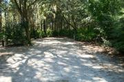 Is a view of the campsite from the front side or roadway looking inward of a 72 foot back in campsite. A picnic table is located on the right side along with a fire ring/grill and water hookups. Electrical hookup is located on the left side.