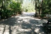 View of a vacant campsite from the back looking forward toward the roadway. Campsites are partially shaded with sparse vegetation with tall grasses and bushes present in the background. There are small trees on the edges of the site. Photos show fire ring, a picnic table, electric pedestal, and a water spigot.
