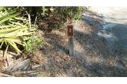 Close up of a brown campsite marker on a wooden post with grass and palmetto bushes on the sides. This is a 100 foot long pull through site.