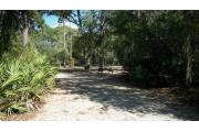 View of a vacant pull through site with a picnic table and fire ring/grill. The main part of the site is sandy with sparse vegetation. There is a mix of trees to the left and right side to include long leaf pine and oaks. The site is in partial shade