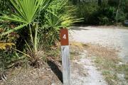 Close up of a brown campsite marker number 4. There are grass and palmetto bushes on each side creating a border. This is a 100 foot pull through site which lies between the circle drive.