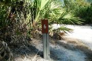Close up of a brown campsite marker on a wooden post with mowed grass in the foreground and thick bushes to the side and background. This site is a beautiful 100 foot long pull through campsite which connects to the paved circle drive.