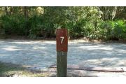 Close up of a brown campsite marker on a wooden post indicating campsite number 7, with mowed grass in the foreground and thick bushes to the side and background. This site is a beautiful 56 foot back in site and is partially shaded.