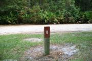 Close up of a brown campsite marker on a wooden post indicating campsite number 8, with mowed grass in the foreground and small trees and bushes in the background. This site is a beautiful 56 foot back in site and is mostly shaded.