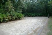 This is a view from the roadway looking toward the back of the site. You can notice a border of mostly smaller trees with a few larger ones mixed in and palmetto shrubs. You also can view the picnic table and fire ring/grill on the left and the water and electrical hookups to the right.