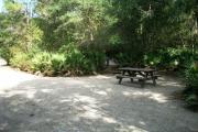 This picture depicts a view from the back of the site looking toward the circle drive. You can see the picnic table and fire ring/grill on the right and notice the site is lined with palmetto shrubs. Smaller trees separate this site from the next door site.