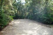This picture of campsite number 9 is taken from the circle drive looking toward the back. You can see the electrical and water hookups to the right and not seen but present are the picnic table and fire ring/grill to the left. This site is lined with medium sized trees and palmetto shrubs and is mostly shaded.