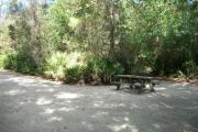 This is a view of campsite number 9 from the back facing the front of the back in site. You can see the picnic table and fire ring/grill in this picture as well as the background foliage.