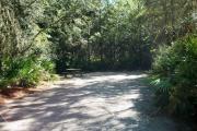 This is a view of campsite number 10 from the circle drive looking toward the back. You can see the freshly raked sandy ground encompassed with small and medium sized oak and pine trees. The picnic table and fire ring/grill are visible to the left.