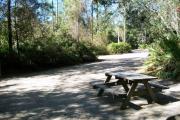 This is a view of campsite number 10 from the back looking forward toward the circle drive. You can see the border of shrubs better and can also see the picnic table and fire ring/grill. Although you can not see the electrical and water spigots, they are present.