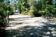 View of site number 11 from the rear looking toward the circle drive. Again you can see the electrical and water supplies and the picnic and fire area. In the background you can see larger oak and pine trees with short shrubs along the border.