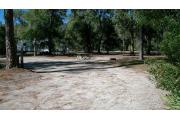 Site number 12 is mostly open with a relatively open and clear view. There are some larger trees and small shrubs in and about the site. You can see the wooden picnic table and fire ring/grill along with the electrical and water spigot hook ups.