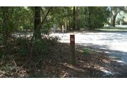 This picture shows the numbered post for campsite 16 in the foreground. It is surrounded on the left by natural Florida brush and the right hand of the picture shows the entrance to the campsite. In the background is the water and electrical hook up; a covering of pines and oaks is behind the hook ups. Campsite number 16 is a back in site and is 34 feet deep.