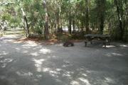 This picture is a shot of campsite 16 from the back of the campsite angling to the right. Towards the right of the picture there is a wooden picnic table and a ground fire ring/grill. The background shows shrubby oaks, palmettos and a pine.