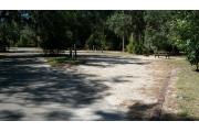 This is a picture of campsite 18 as your pulling into the campsite. The ground fire ring/grill and wooden picnic table are in the background right corner of the picture. The electrical and water connections are located to the left. It is an open grassy site with small magnolias and palmettos.