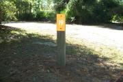 Close up of a brown campsite marker on a wooden post indicating campsite number 19, with mowed grass in the foreground and small to medium sized trees scattered about the border. This site is a beautiful 100 foot pull through site and is partially shaded. This site is close to the bathhouse.