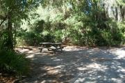 This picture provides a close up of the picnic area and fire ring/grill. The line of palmettos and small trees provide a lot of privacy at this site. The water and electrical connections are off the picture but to the right.