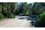 In this picture you can see the larger oak and palm trees and palmettos that are common to the Florida landscape. The wooden picnic table and fire ring/grill are located to the right and the electrical and water spigot connections are to the left. The circle drive is seen at the top of the page.