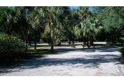 In this picture you can see the openness of the site back towards the picnic area. The palm trees in the background provide partial shade along with the taller oak and pine trees in and around the site.