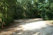 Site number 23 is surrounded by small to mid sized oak and pine trees. It is somewhat private with a large picnic area that is well shaded, located on left. There is a wooden picnic table and fire ring/grill for the picnic area-left and electrical and water spigot connections to the right, back.