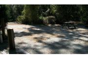 In this picture of site number 23, the electrical and water connections are to the left and the picnic area is to the right. There are vines and small trees that provide a border around this site.