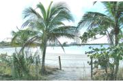 Photo: OLETA RIVER SP. Palm trees frame the photo of Biscayne Bay and high rise buildings in the distance.