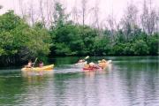 Photo: OLETA RIVER SP. Five people paddle yellow and red kayaks on the Oleta River.
