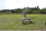 Photo: 002, PRIM. Cabin #2 at Oleta River has a picnic table.