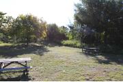 Photo: 005, PRIM. Cabin #5 at Oleta River has a fire ring.