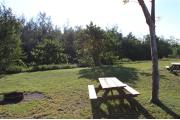 Photo: 008, PRIM. Cabin #8 at Oleta River has a fire ring and a picnic table.
